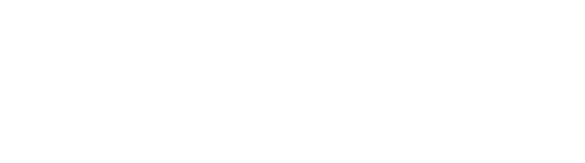 Z Multiservices LLC